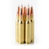 Image of 20 Rounds of 165gr JHP .308 Win Ammo by Silver State Armory