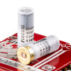 View of Fiocchi 12ga ammo rounds