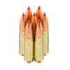 Image of 20 Rounds of 110gr NTX .300 AAC Blackout Ammo by Hornady