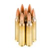 Close up of the 62gr on the 200 Rounds of 62gr FMJBT .223 Ammo by Prvi Partizan