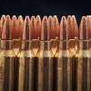 Image of 20 Rounds of 55gr FMJBT .223 Ammo by Federal Am. Eagle