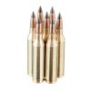 Image of 20 Rounds of 95gr Polymer Tipped .243 Win Ammo by Winchester Deer Season XP