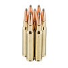 View of Hornady 30-06 Springfield ammo rounds