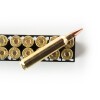 View of Hornady .204 Ruger ammo rounds