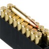 View of Hornady .308 Win ammo rounds