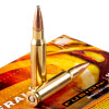 View of Federal .308 Win ammo rounds