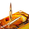 View of Federal .270 Win ammo rounds