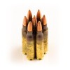 View of Federal 5.56x45 ammo rounds