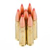 Close up of the 110gr on the 20 Rounds of 110gr V-MAX .300 AAC Blackout Ammo by Hornady