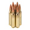 View of Fiocchi .223 ammo rounds
