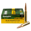 View of Remington 25-06 Remington ammo rounds