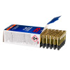 View of CCI .22 LR ammo rounds
