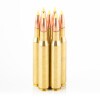 Close up of the 140gr on the 20 Rounds of 140gr Nosler Ballistic Tip .270 Win Ammo by Nosler Ammunition