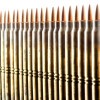 View of M.B.I. .223 ammo rounds