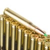 View of Nosler Ammunition 30-06 Springfield ammo rounds