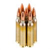 View of Wolf .223 ammo rounds