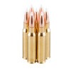 View of Nosler Ammunition .308 Win ammo rounds