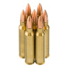 View of BVAC .223 ammo rounds