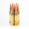 Image of 20 Rounds of 62gr Solid Copper Hollow Point .223 Ammo by DPX Ammunition