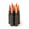 View of Wolf 7.62x54r ammo rounds