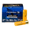 View of Federal 20ga ammo rounds