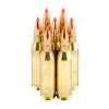 View of Hornady .243 Win ammo rounds
