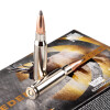 View of Federal .308 Win ammo rounds