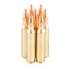 Close up of the 35gr on the 20 Rounds of 35gr Polymer Tipped .223 Ammo by Nosler Trophy Grade Varmint Ammunition