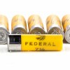 View of Federal 20ga ammo rounds