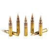 View of Hornady .223 ammo rounds