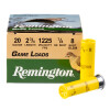 View of Remington 20ga ammo rounds