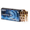 View of Federal 30-06 Springfield ammo rounds