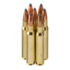 View of Winchester 30-06 Springfield ammo rounds