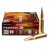 View of Federal .308 Win ammo rounds