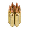 View of Federal .223 ammo rounds