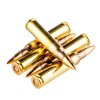 Image of 20 Rounds of 55gr FMJ 5.56x45 Ammo by PMC