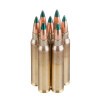 View of Prvi Partizan 5.56x45 ammo rounds