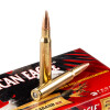 View of Federal 30-06 Springfield ammo rounds