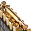 Image of 20 Rounds of 80gr Polymer Tipped .243 Win Ammo by Black Hills Gold Ammunition
