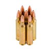 Image of 20 Rounds of 55gr TSX .223 Ammo by Barnes