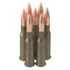 Close up of the 174gr on the 500  Rounds of 174gr FMJ 7.62x54r Ammo by Brown Bear