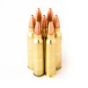 Image of 20 Rounds of 55gr TSX .223 Ammo by Ted Nugent Ammo