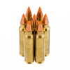 Image of 500  Rounds of 55gr Nosler Ballistic Tip .223 Ammo by Federal