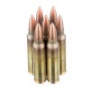 View of Federal 5.56x45 ammo rounds