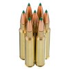 View of Remington 30-06 Springfield ammo rounds