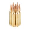 View of Barnes 5.56x45 ammo rounds