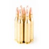 Image of 20 Rounds of 90gr AccuBond .243 Win Ammo by Nosler
