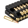 View of Norma 7.5x55mm Swiss ammo rounds