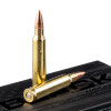 View of Hornady .223 ammo rounds