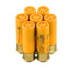 View of Federal 20ga ammo rounds